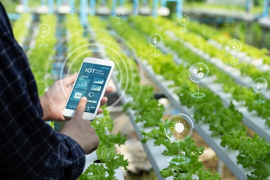 IoT Integration in Agriculture